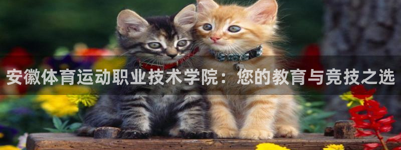 J9官方集团官网：安徽体育运动职业技术学院：您的教育