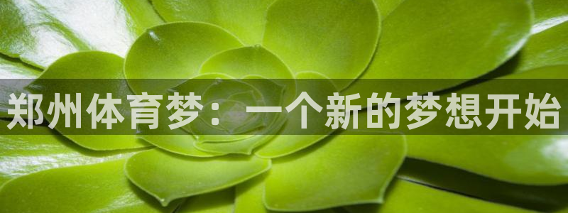 J9官网下载平台注册要钱吗是真的吗：郑州体育梦：一个