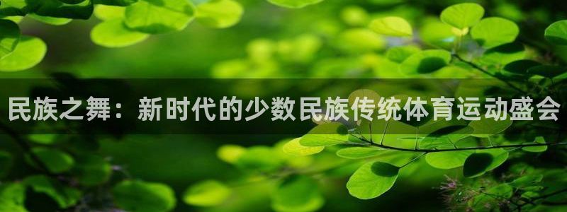 J9官方正版app官网：民族之舞：新时代的少数民族传