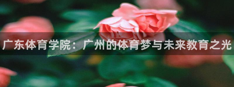 J9官网下载招商电话是多少：广东体育学院：广州的体育