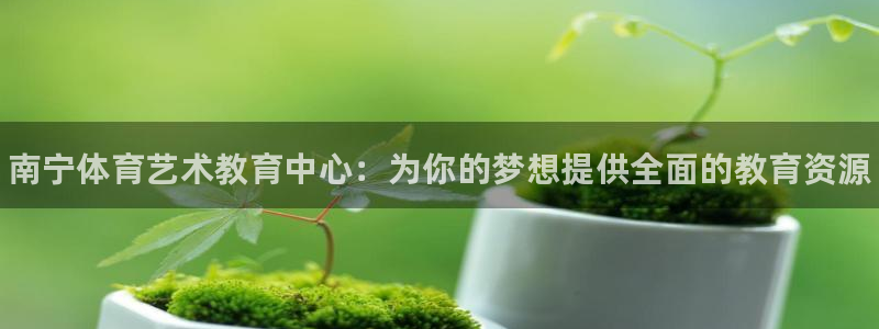 J9官网下载：南宁体育艺术教育中心：为你的梦想提供全