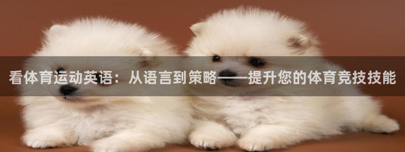 J9官网下载招商电话号码查询：看体育运动英语：从语言