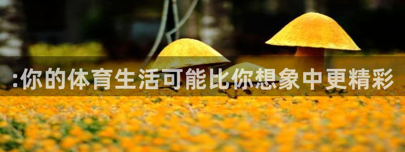 J9官方正版app官方：:你的体育生活可能比你想象中