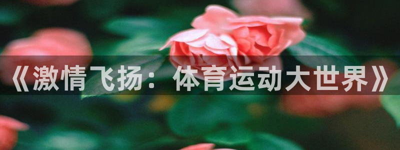 J9官方正版app集团官网网址：《激情飞扬：体育运动