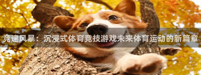 J9官网下载联系电话：竞速风暴：沉浸式体育竞技游戏未