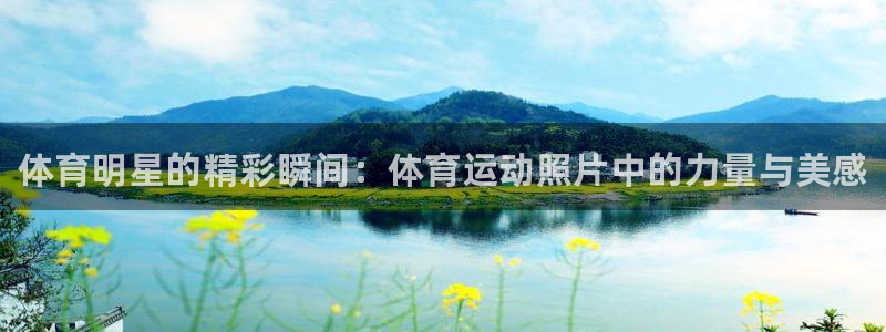 J9官方正版app娱乐首页网站大全：体育明星的精彩瞬