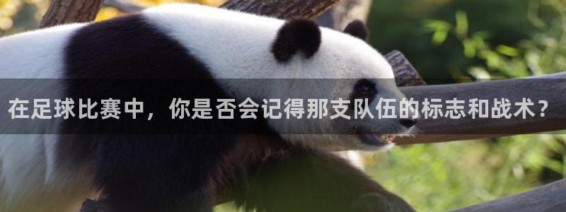 德国J9官方正版app集团：在足球比赛中，你是否会记