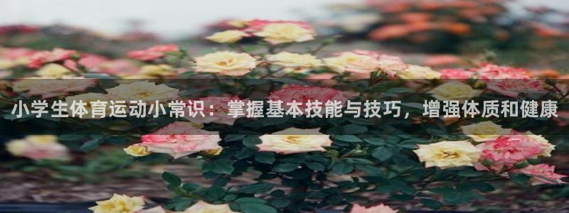 J9官网下载软件：小学生体育运动小常识：掌握基本技能
