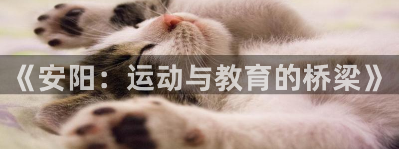 J9官网下载注册：《安阳：运动与教育的桥梁》