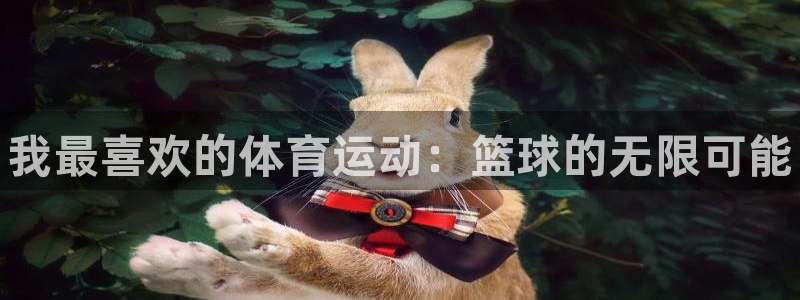 J9官网下载软件：我最喜欢的体育运动：篮球的无限可能