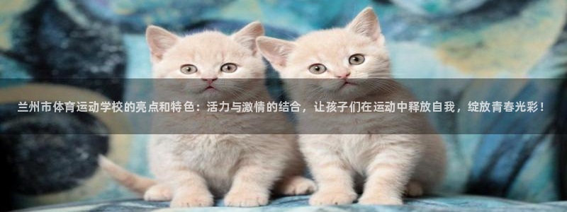 J9官方正版app集团logo：兰州市体育运动学校的亮点和特