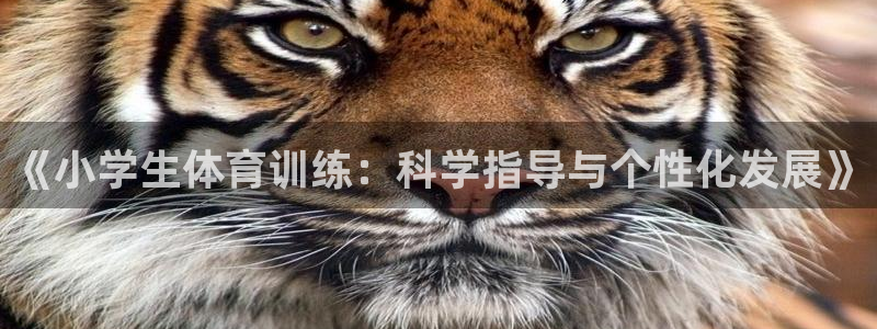 J9官网下载平台注册要钱吗是真的吗：《小学生体育训练