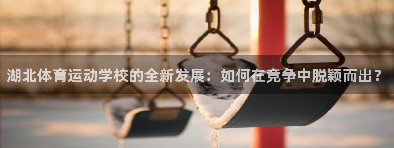 J9官网下载招商电话地址：湖北体育运动学校的全新发展：如何在