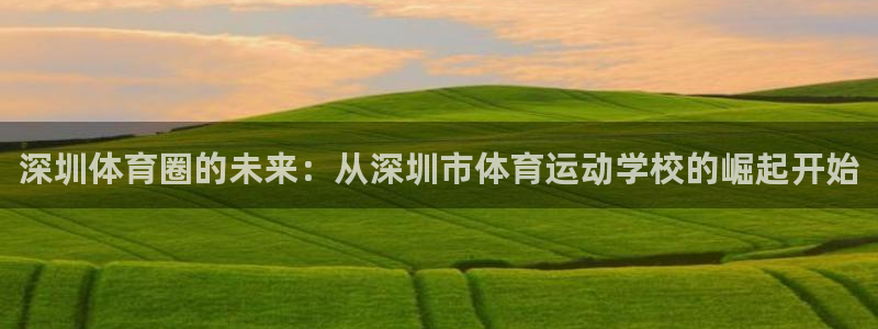 J9官网下载平台注册要钱吗是真的吗：深圳体育圈的未来