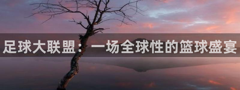 J9官方正版app集团简介：足球大联盟：一场全球性的