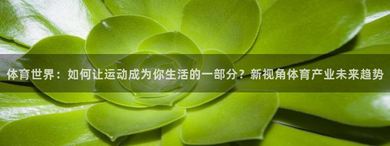 J9官方正版app五金厂：体育世界：如何让运动成为你生活的一