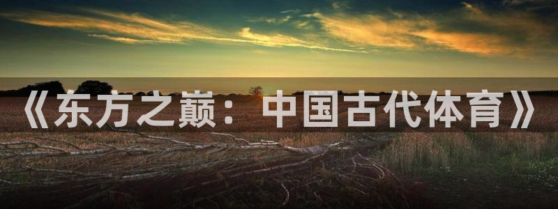 J9官网下载招商：《东方之巅：中国古代体育》
