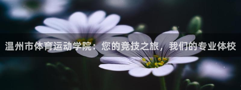 J9官网下载招商电话号码查询是多少