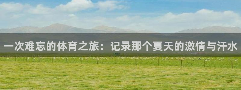 J9官网下载是干嘛的公司：一次难忘的体育之旅：记录那个夏天的