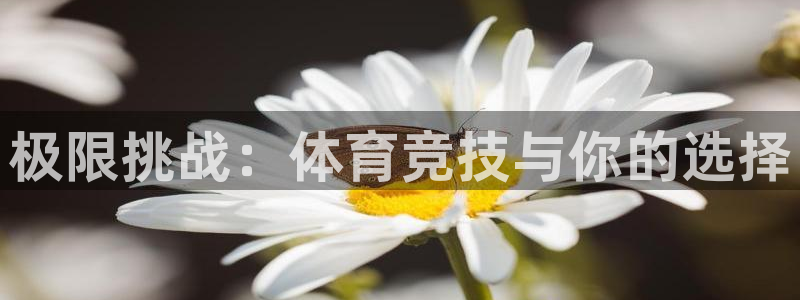 J9官网下载是干嘛的公司：极限挑战：体育竞技与你的选