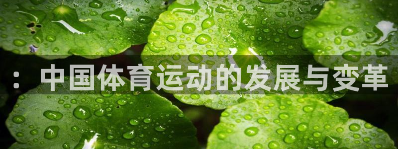 J9官方平台体育：：中国体育运动的发展与变革