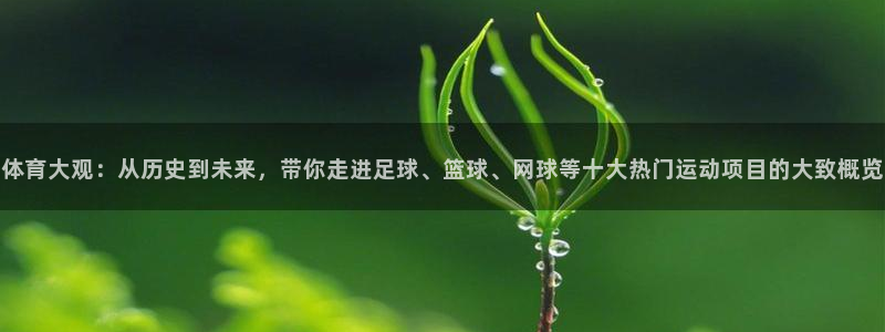 J9官网下载：体育大观：从历史到未来，带你走进足球、