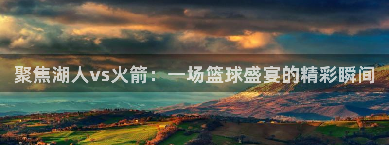 蓝鲸软件：聚焦湖人vs火箭：一场篮球盛宴的精彩瞬间