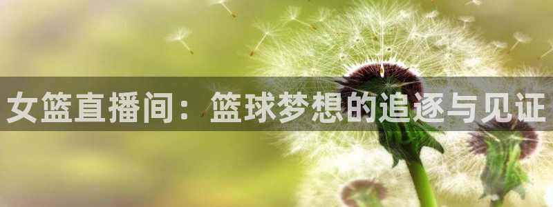 蓝鲸直播app官方：女篮直播间：篮球梦想的追逐与见证