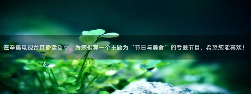 大蓝鲸直播间：在辛集电视台直播活动中，为您推荐一个主题为“节日与美食”的专题节目，希望您能喜欢！