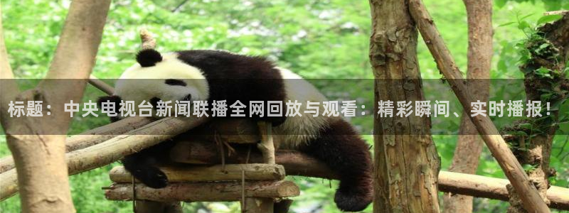 蓝鲸直播app下载：标题：中央电视台新闻联播全网回放与观看：精彩瞬间、实时播报！