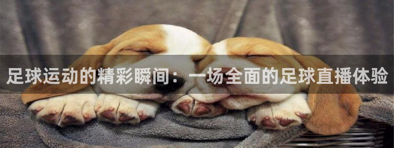 蓝鲸直播app：足球运动的精彩瞬间：一场全面的足球直播体验