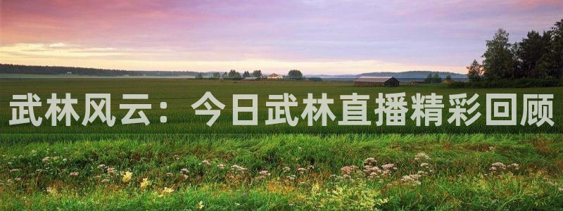 蓝鲸直播平台官网：武林风云：今日武林直播精彩回顾