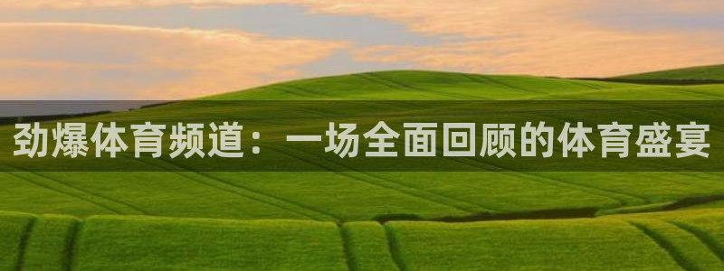 蓝鲸体育在线直播：劲爆体育频道：一场全面回顾的体育盛宴