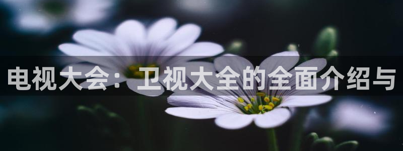 蓝鲸直播男