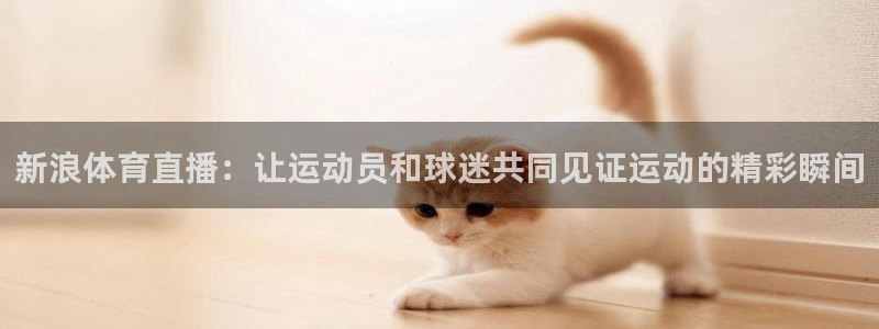 蓝鲸直播 app：新浪体育直播：让运动员和球迷共同见证运动的精彩瞬间