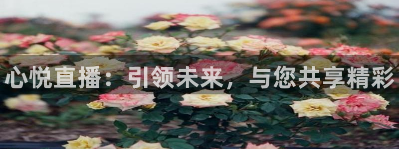 蓝鲸直播平台官网：心悦直播：引领未来，与您共享精彩