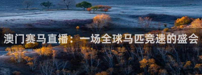 蓝鲸体育直播在线观看：澳门赛马直播：一场全球马匹竞速的盛会